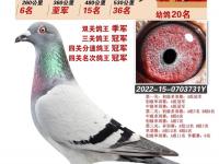 半岛体育网页版-瑞典篮球锦标赛冠军揭晓，实力球队夺冠