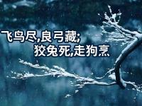 半岛体育全站-关于世俱杯首轮盘点:大冷欧洲造成也萧何败也萧何的信息