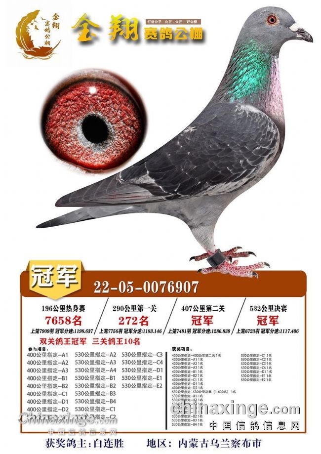 瑞典篮球锦标赛冠军揭晓，实力球队夺冠