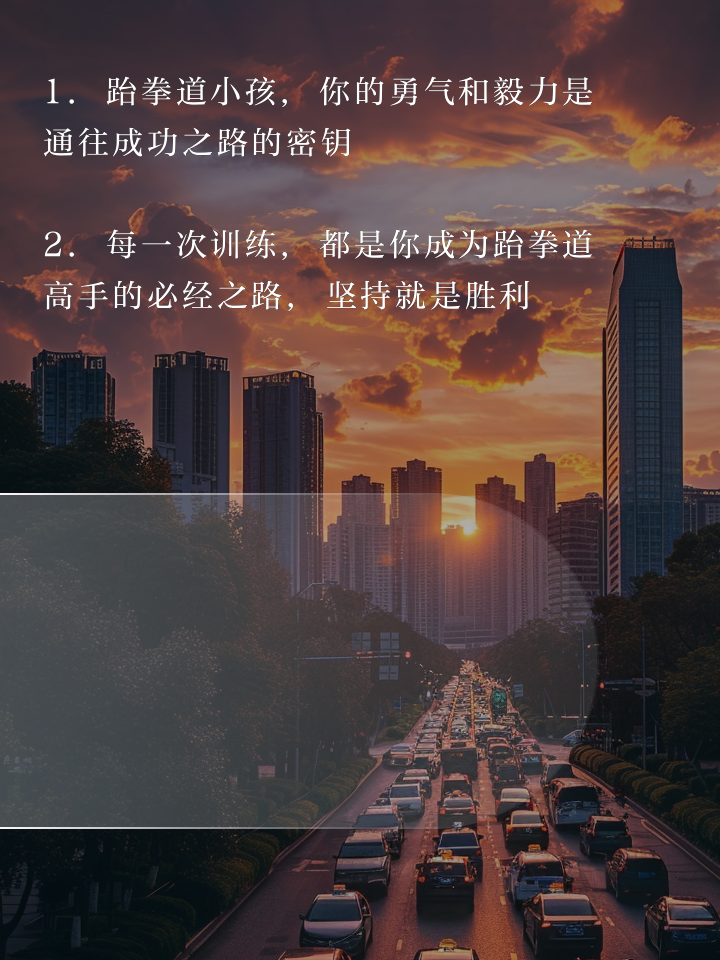 无惧挑战，跆拳选手一路前行的简单介绍