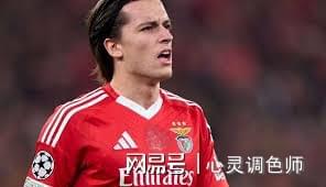 狼群长空继续高歌，英超未出现过的实力新星